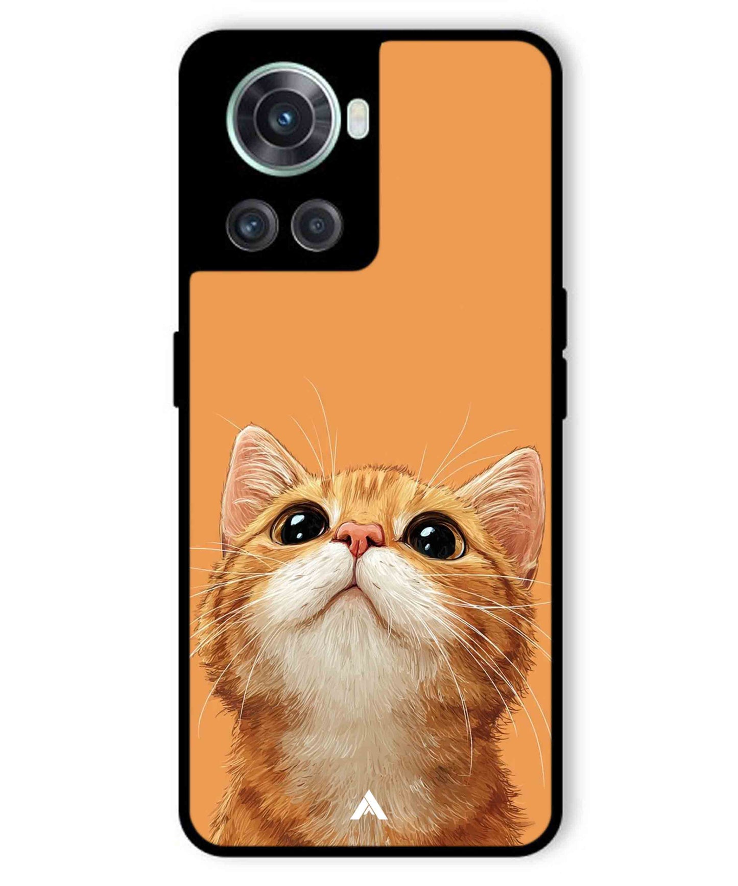 Pet Animal 2 Personalised Metal Back Cover Phone Case for Oneplus 10R