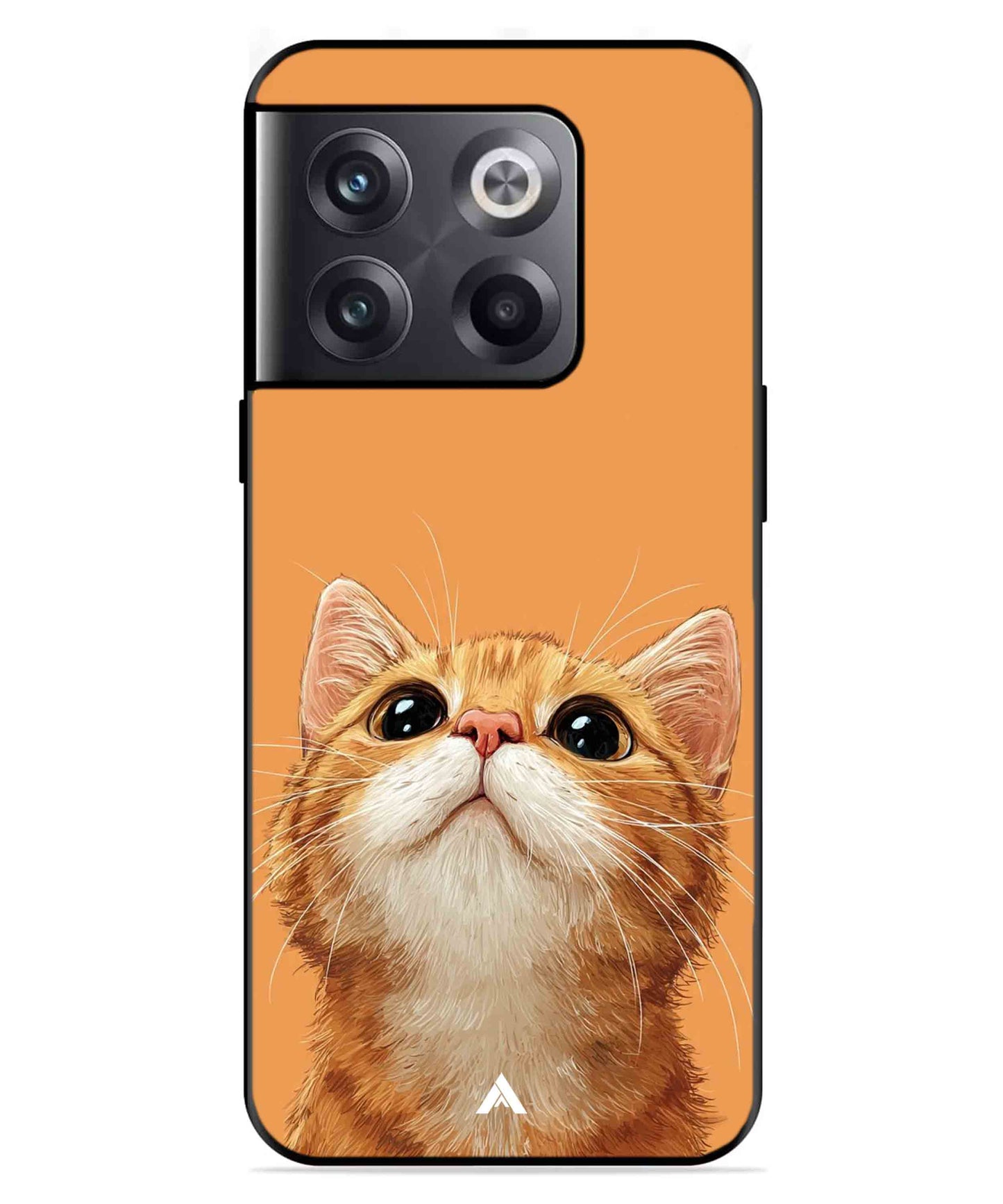 Pet Animal 2 Personalised Metal Back Cover Phone Case for Oneplus 10T