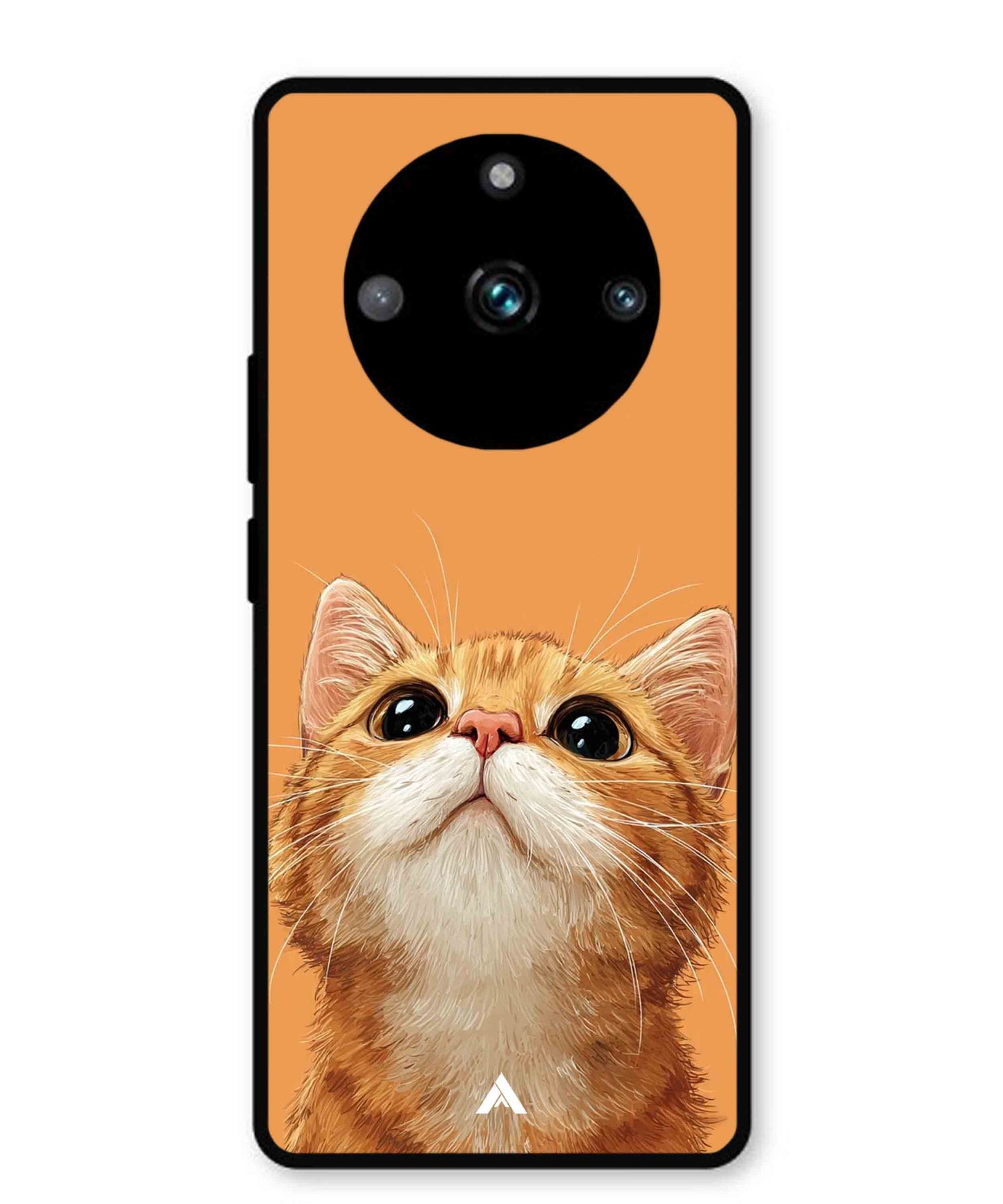 Pet Animal 2 Personalised Metal Back Cover Phone Case for Realme 11 Pro Plus