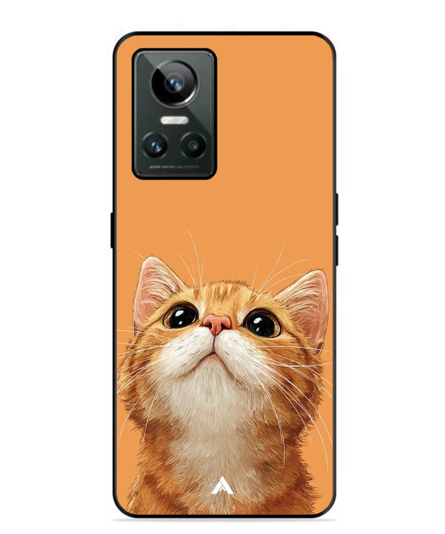 Pet Animal 2 Personalised Metal Back Cover Phone Case for Realme GT Neo 3
