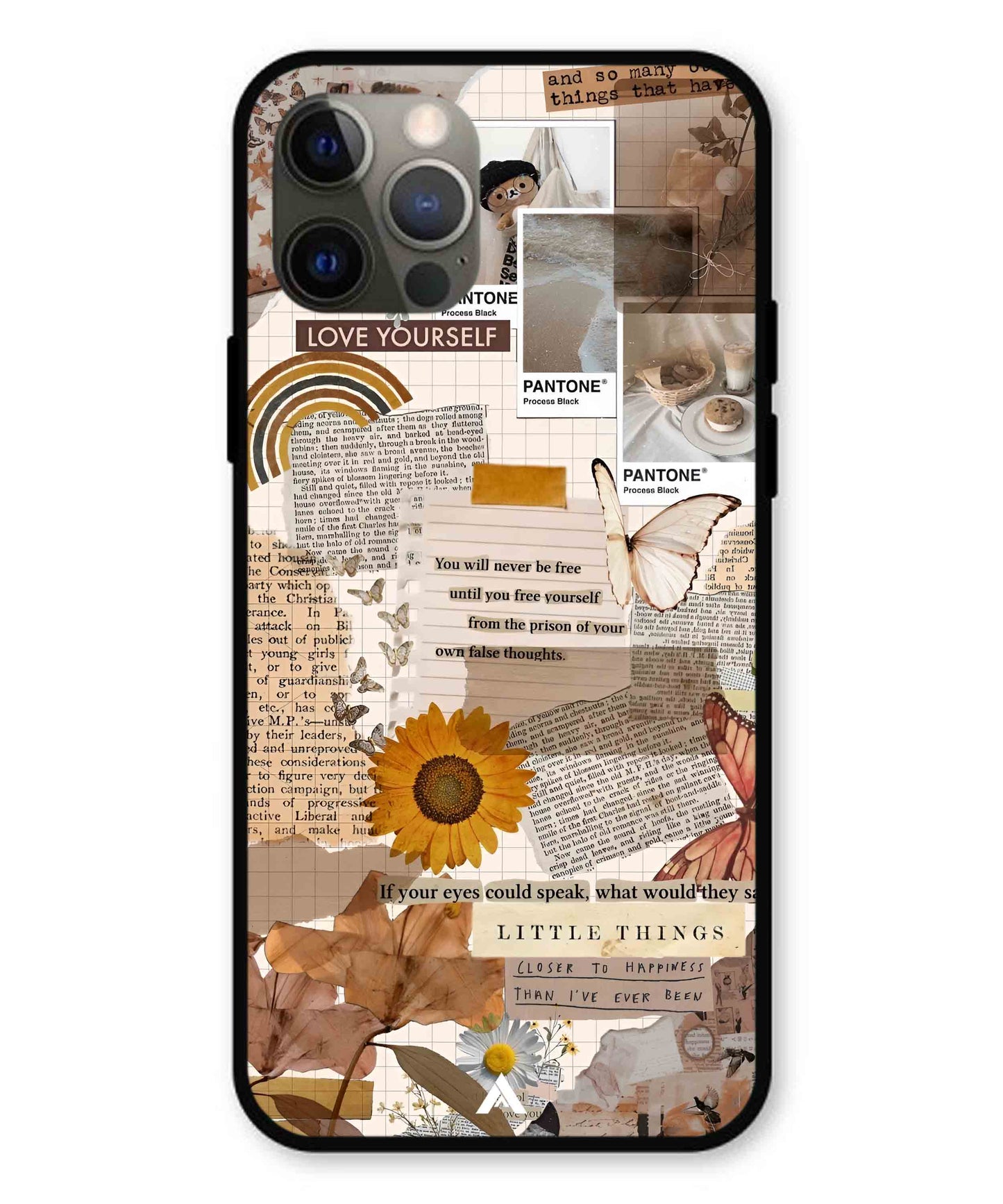 Little Things Metal Back Cover Phone Case for iPhone 12 Pro