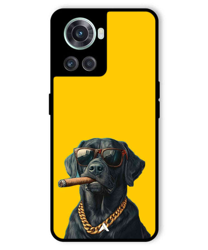 Pet Animal 1 Personalised Metal Back Cover Phone Case for Oneplus 10R 