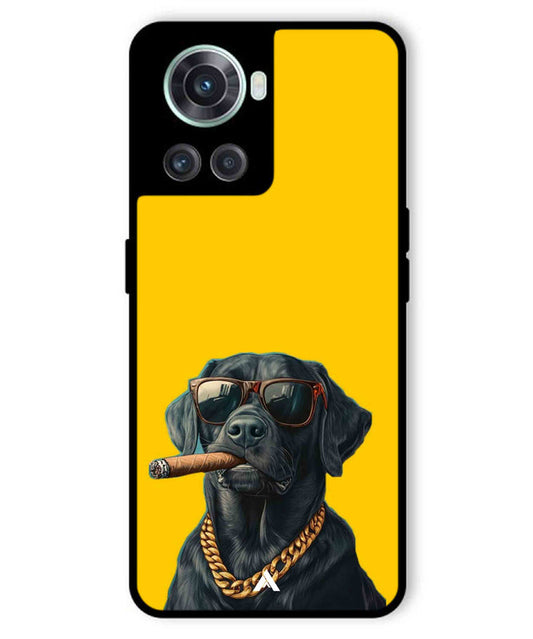 Pet Animal 1 Personalised Metal Back Cover Phone Case for Oneplus 10R 