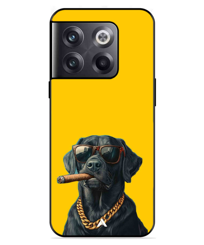 Pet Animal 1 Personalised Metal Back Cover Phone Case for Oneplus 10T 