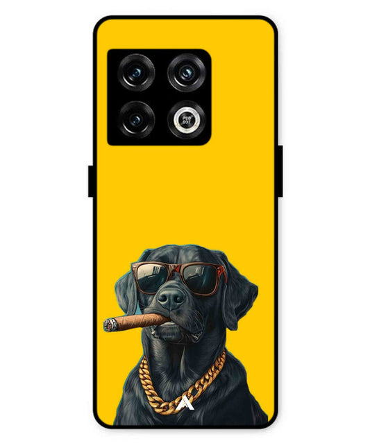 Pet Animal 1 Personalised Metal Back Cover Phone Case for Oneplus 10 Pro 