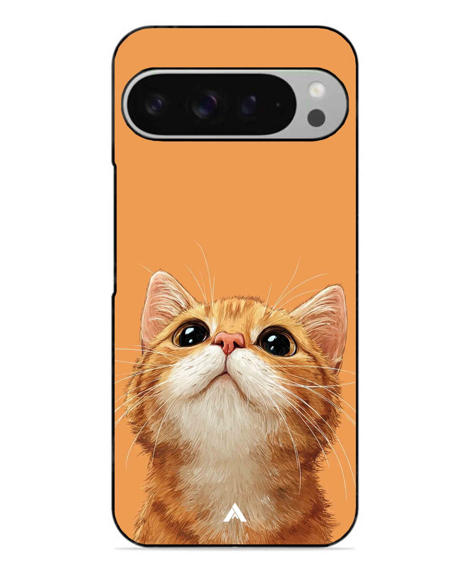 Pet Animal 2 Personalised Metal Back Cover Phone Case for Pixel 9 Pro