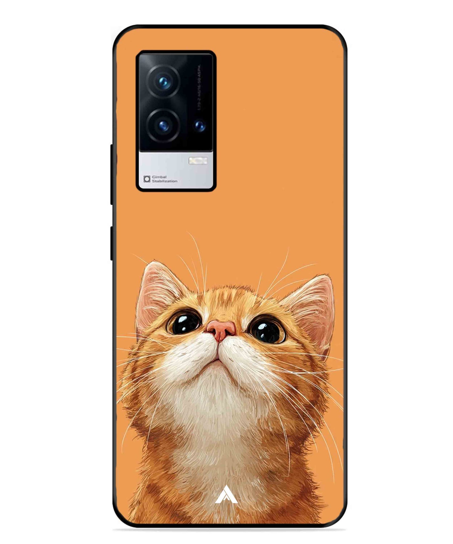 Pet Animal 2 Personalised Metal Back Cover Phone Case for iQOO 9