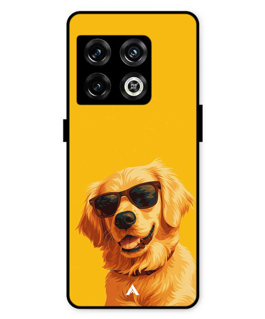 Pet Animal 3 Personalised Metal Back Cover Phone Case for Oneplus 10 Pro